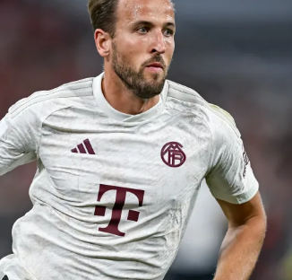 得期待的新 得期待的新