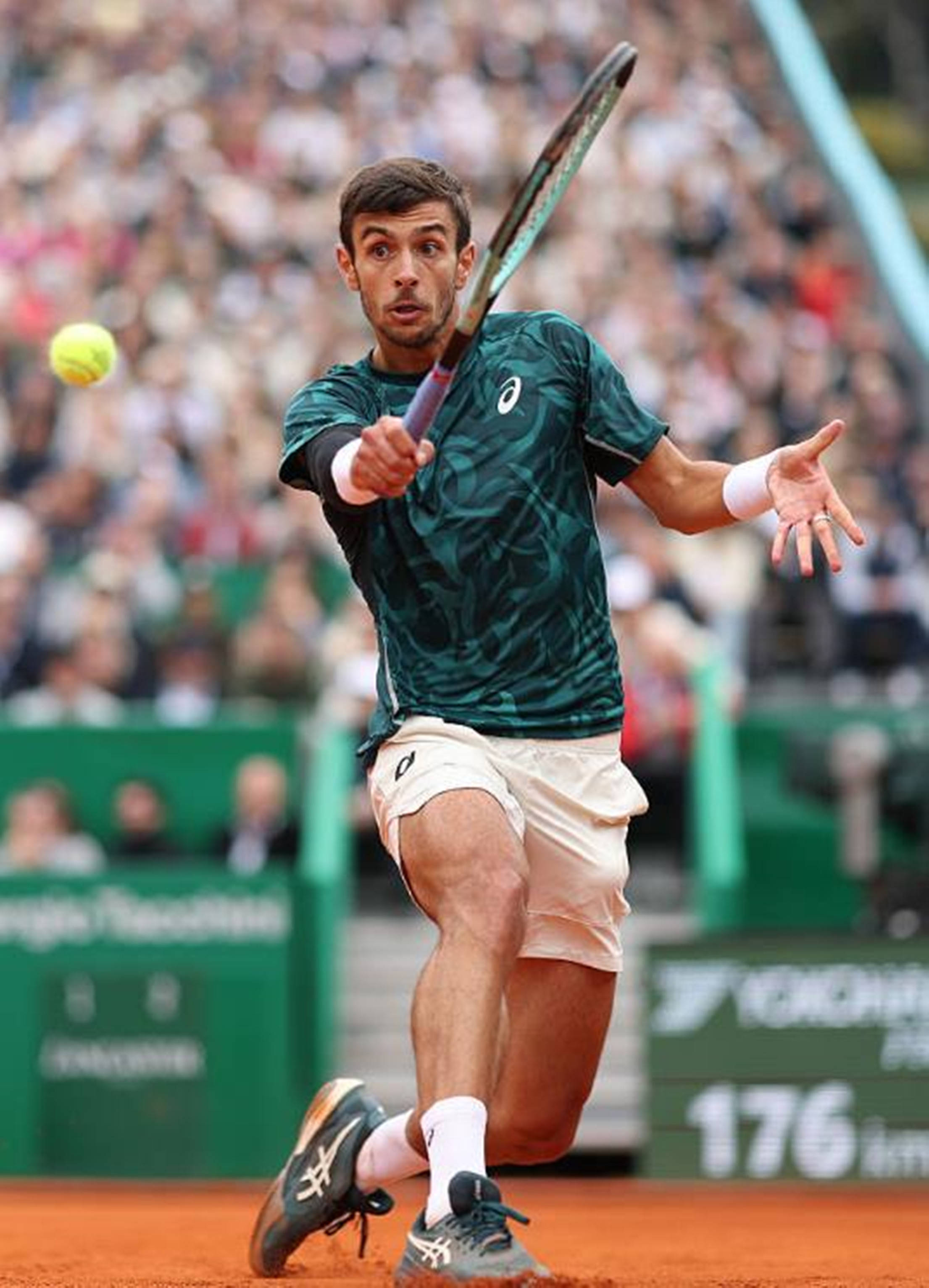 无数冠军荣 无数冠军荣