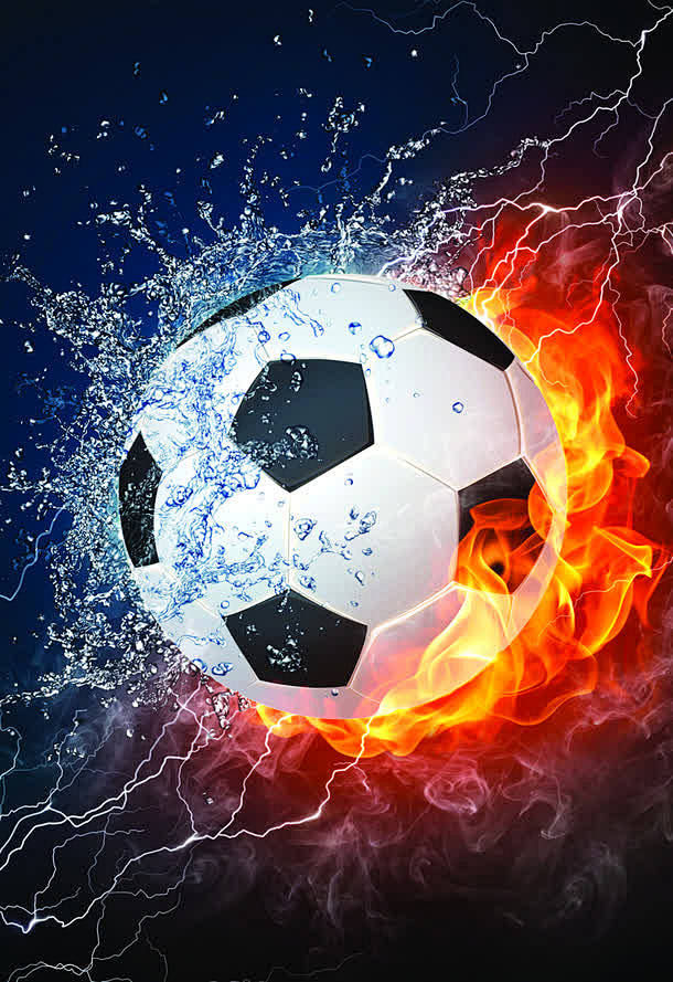 他们不仅在 他们不仅在